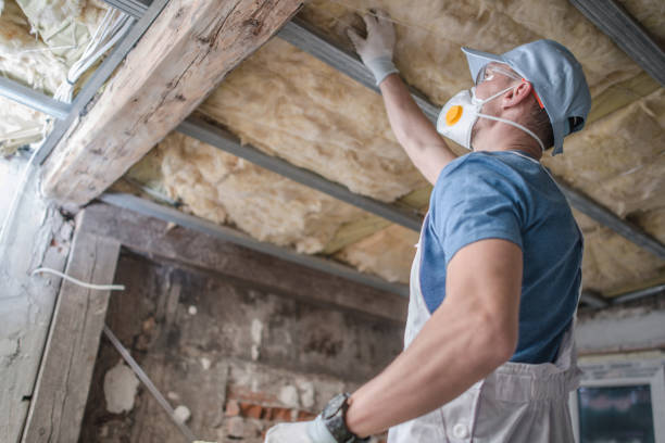 Types of Insulation We Offer in Atlantic Beach, FL