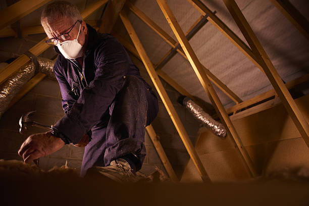 Types of Insulation We Offer in Atlantic Beach, FL